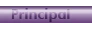 bot principal