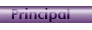 bot principal