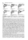 miniatura02